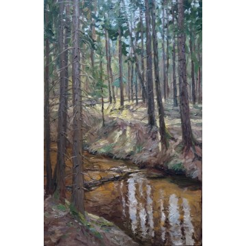 Forest stream near Mamontovka 